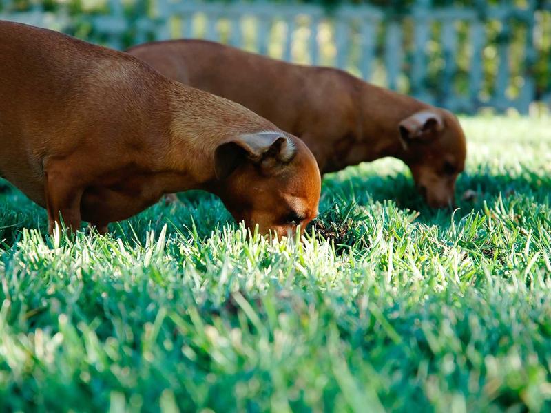 sudoku elimination method screenshot 6